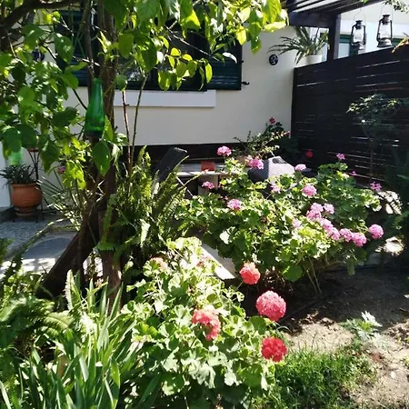 Arhontiko Kastelorizia Afantou