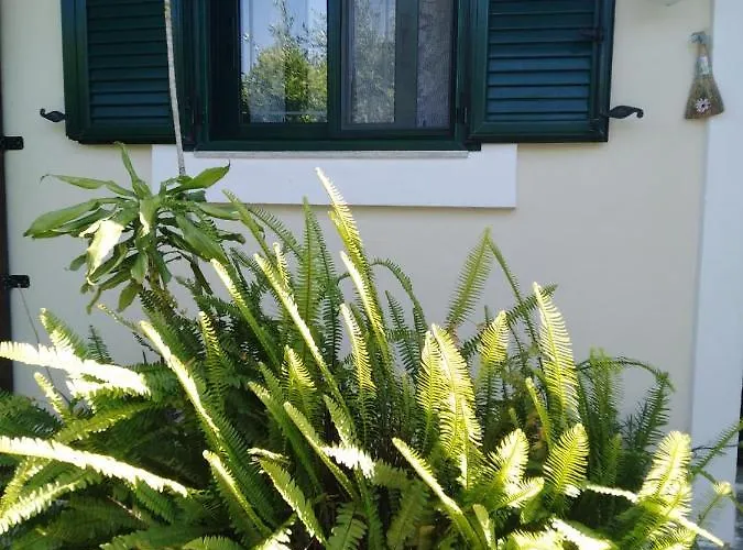 Arhontiko Kastelorizia Dom wakacyjny Afandu